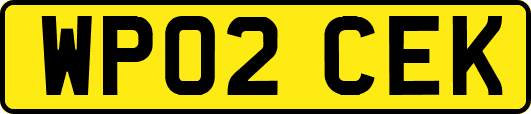 WP02CEK