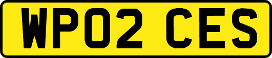 WP02CES