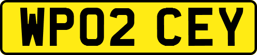 WP02CEY
