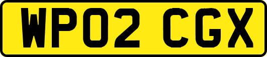 WP02CGX