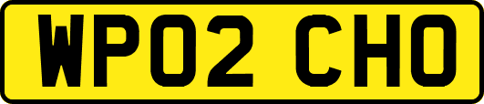 WP02CHO