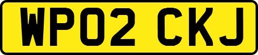 WP02CKJ