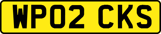 WP02CKS