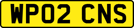 WP02CNS