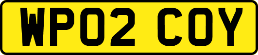 WP02COY