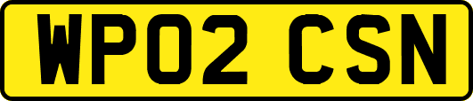 WP02CSN