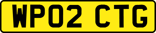 WP02CTG