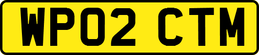 WP02CTM