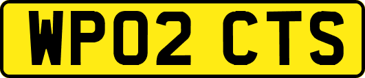 WP02CTS
