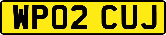 WP02CUJ