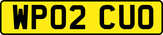 WP02CUO