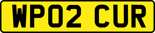 WP02CUR