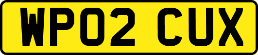 WP02CUX