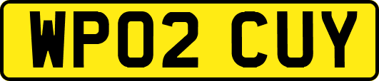 WP02CUY