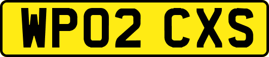 WP02CXS