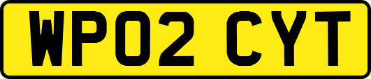 WP02CYT