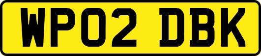 WP02DBK