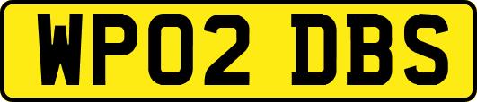 WP02DBS