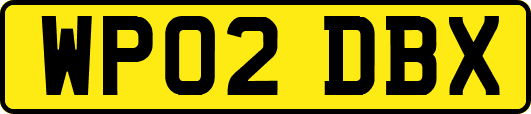 WP02DBX