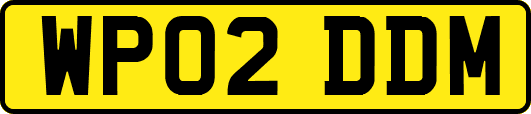 WP02DDM