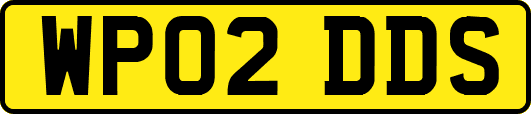 WP02DDS