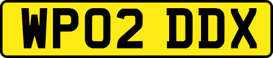 WP02DDX