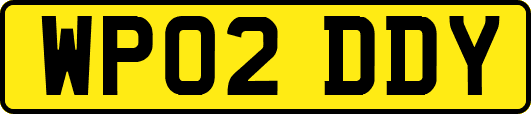 WP02DDY