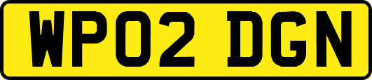 WP02DGN