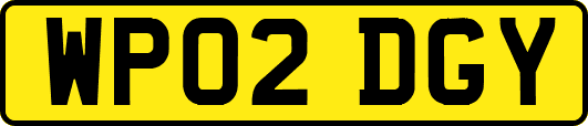 WP02DGY