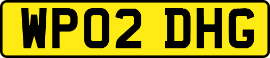 WP02DHG