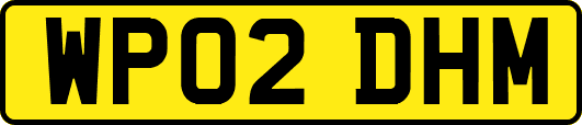 WP02DHM