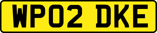 WP02DKE