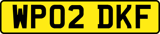 WP02DKF