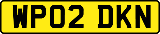 WP02DKN