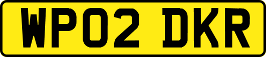 WP02DKR