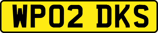 WP02DKS