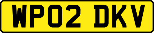 WP02DKV
