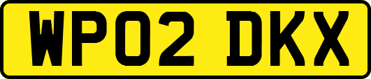WP02DKX