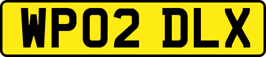 WP02DLX