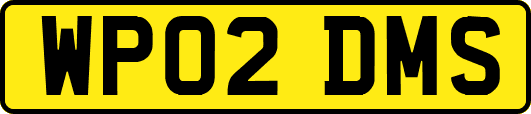 WP02DMS