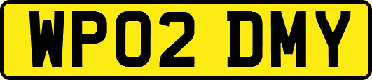 WP02DMY