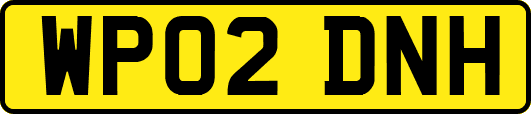 WP02DNH