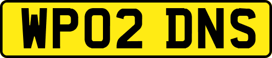 WP02DNS