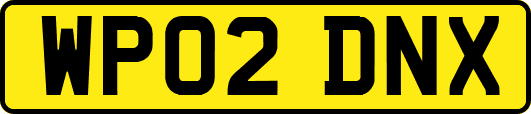 WP02DNX