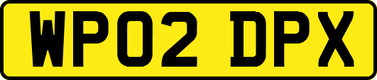 WP02DPX