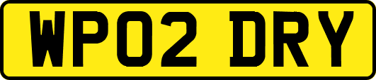 WP02DRY