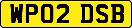 WP02DSB