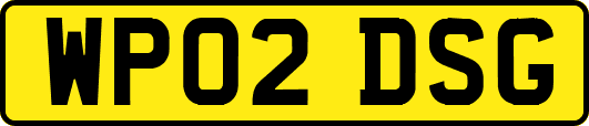WP02DSG