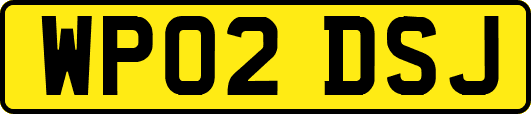 WP02DSJ