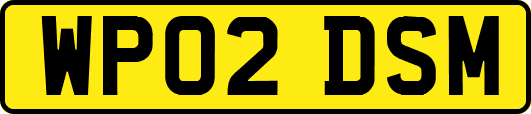 WP02DSM